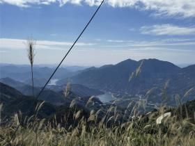 从宋朝“穿越”来的国宝级“功夫茶”,就藏在山海经中的“灵山”上?